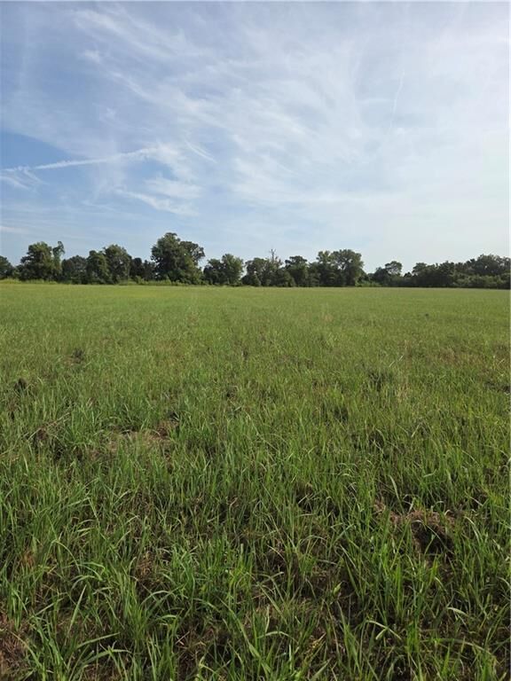 Property Photo:  Tbd Highway 494 Highway  LA 71456 