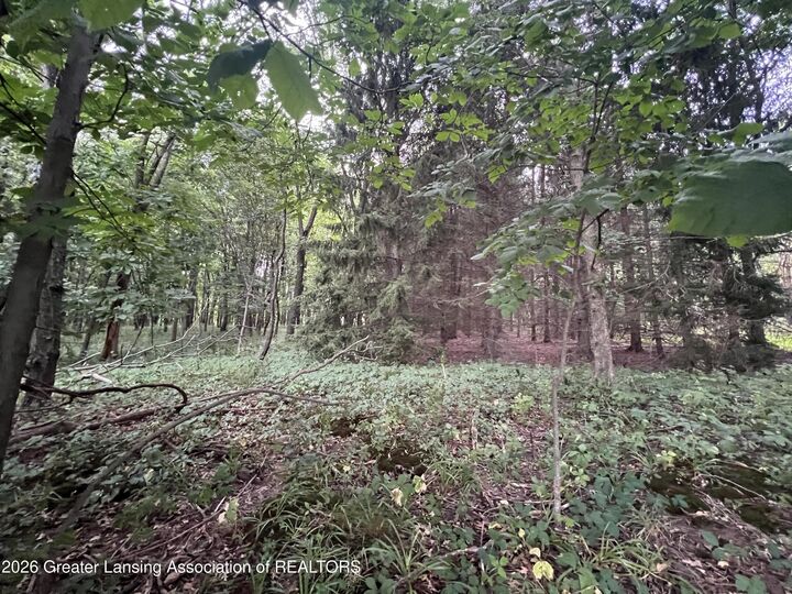 Property Photo:  0 M-50  MI 48827 
