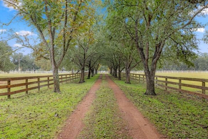 Property Photo:  1131 Greak Road  TX 77475 