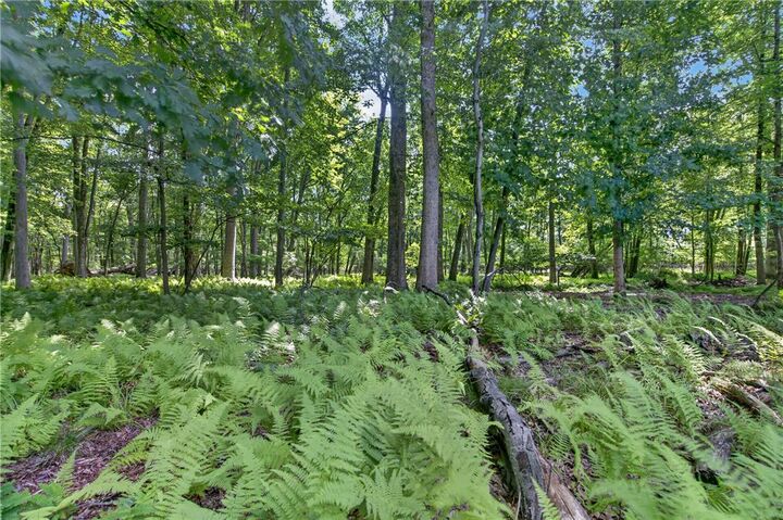 Property Photo:  Maple Street  PA 18252 