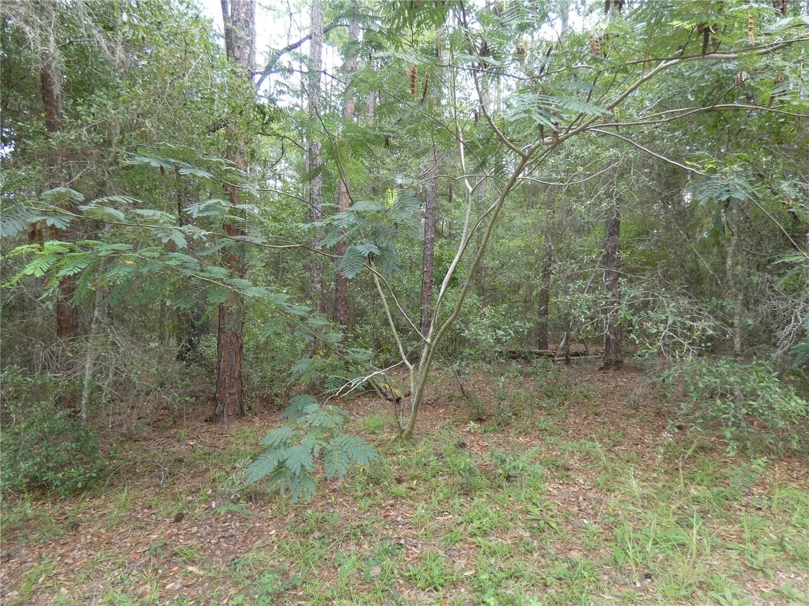 Property Photo:  10075 N Biscayne Drive  FL 34434 