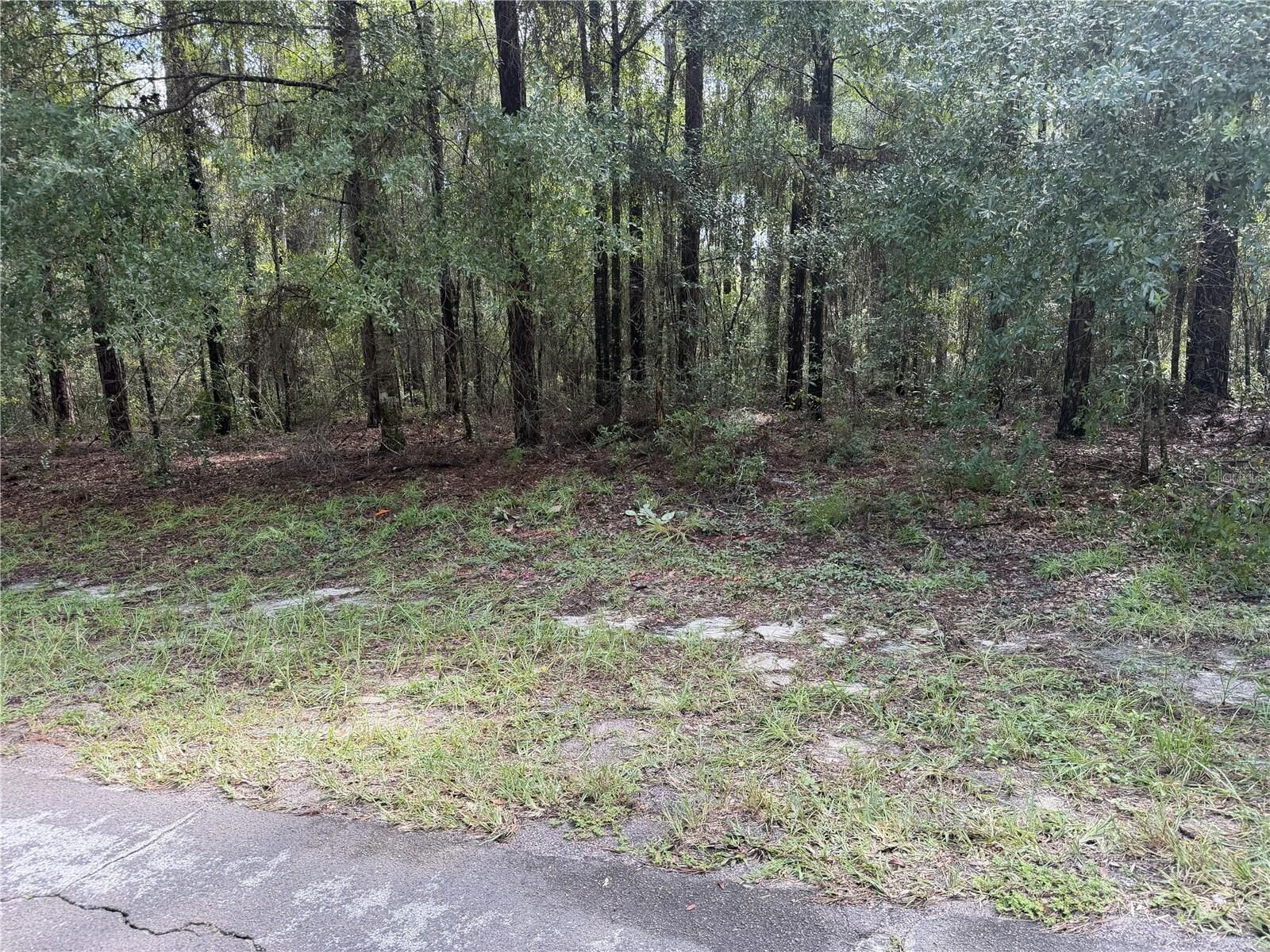 Property Photo:  10075 N Biscayne Drive  FL 34434 