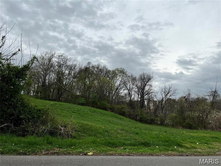 Property Photo:  0 N Frederick Street  MO 63701 