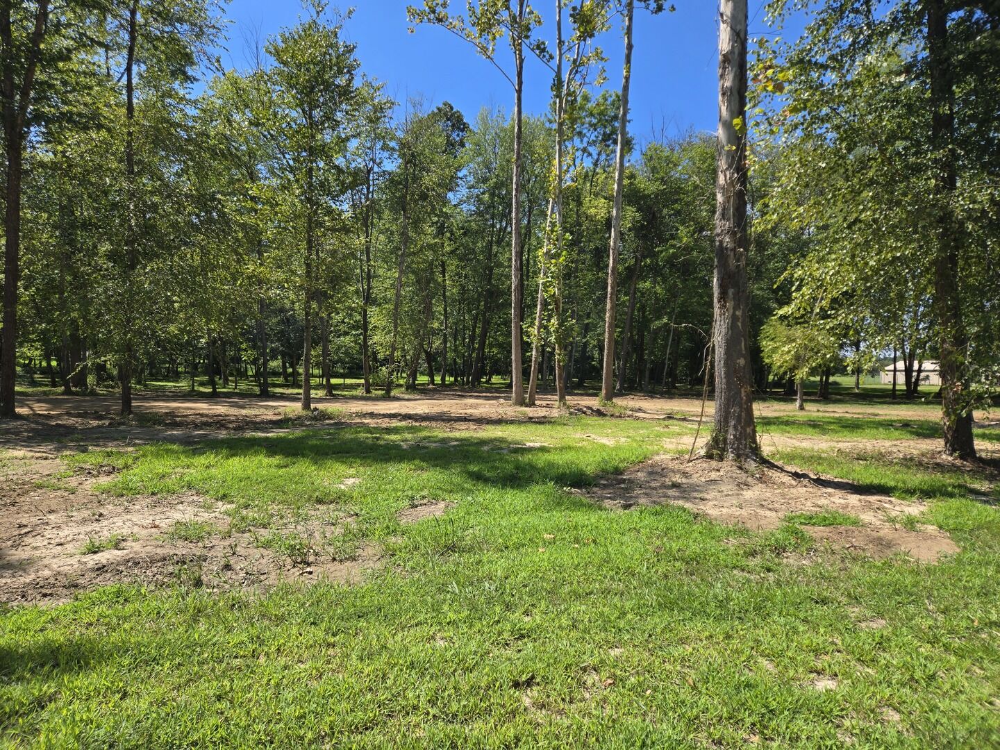 Property Photo: Lot 2 NE Norman Road IL 62959