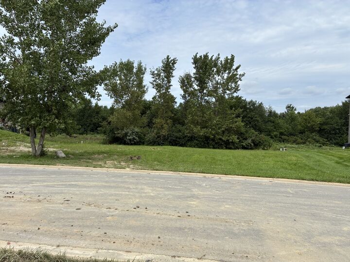 Property Photo: 25135 S Tuscany Drive IL 60449