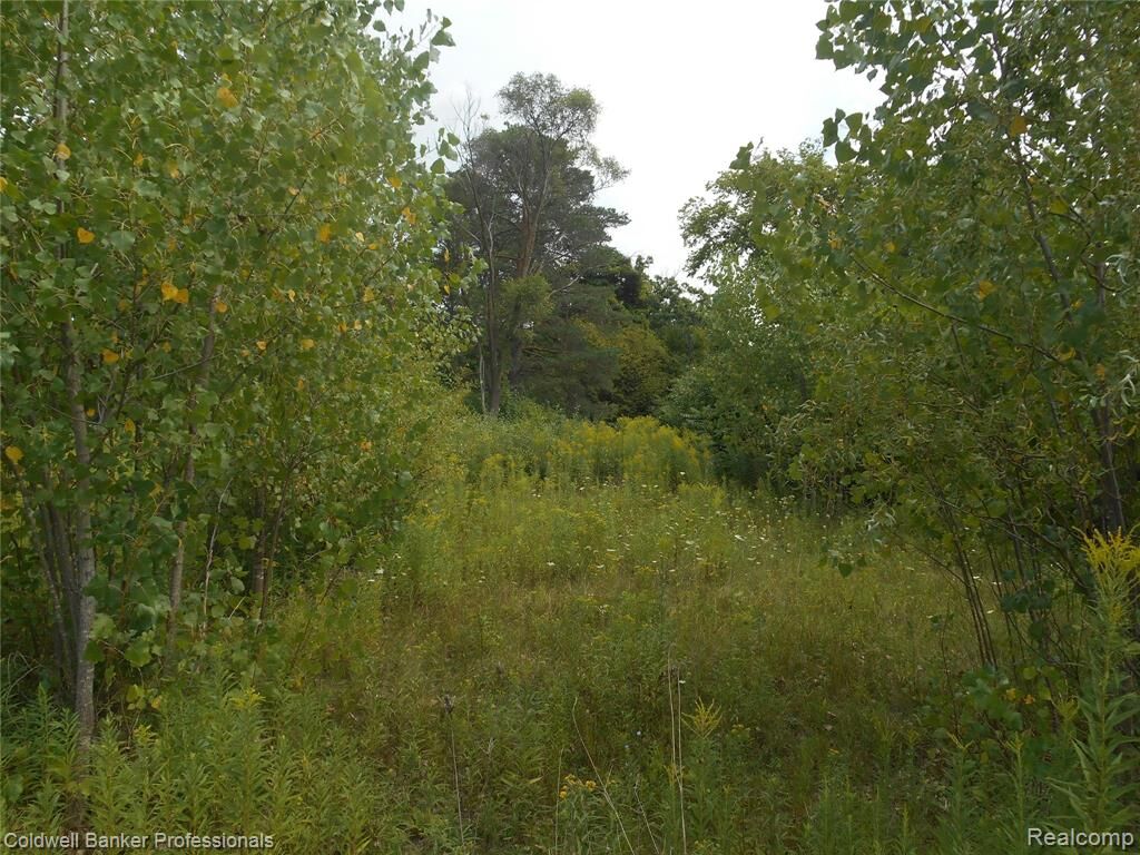 Property Photo:  2448 Clayward Drive  MI 48509 