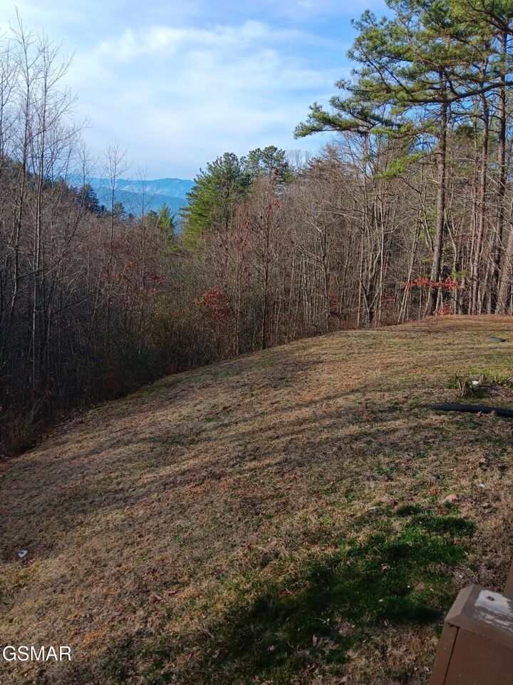 Property Photo: 1081 Cove Road TN 37876