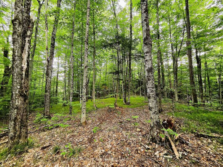 Property Photo:  0 North Rusaw Road  ON K0L 1A0 