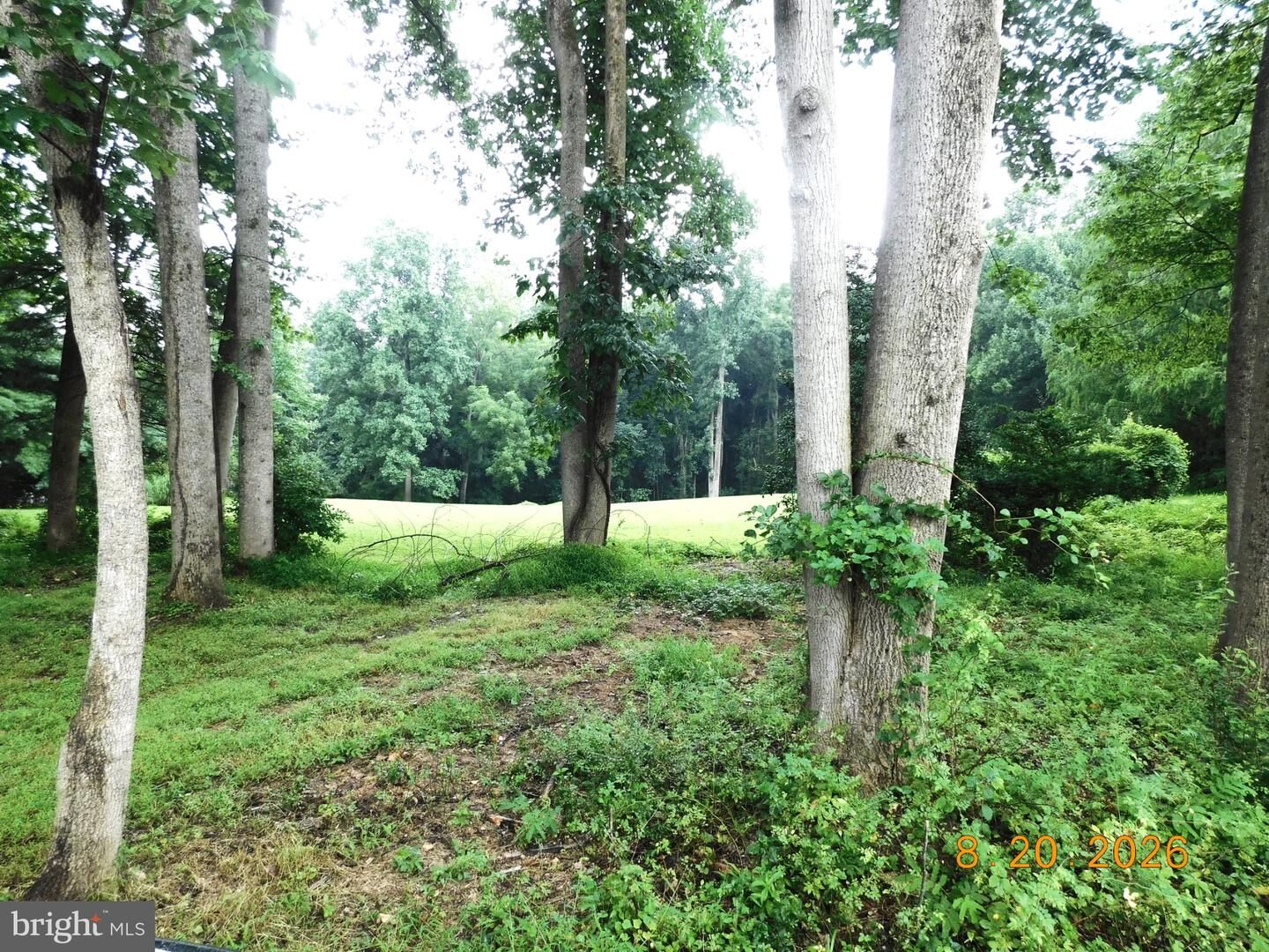 Property Photo:  530 Clarks Lane  PA 19382 