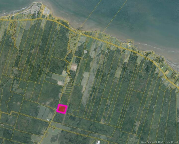 Property Photo:  266 Murray Road  NB E4M 3P3 