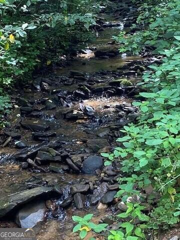 Property Photo: 0 Seven Springs GA 30143