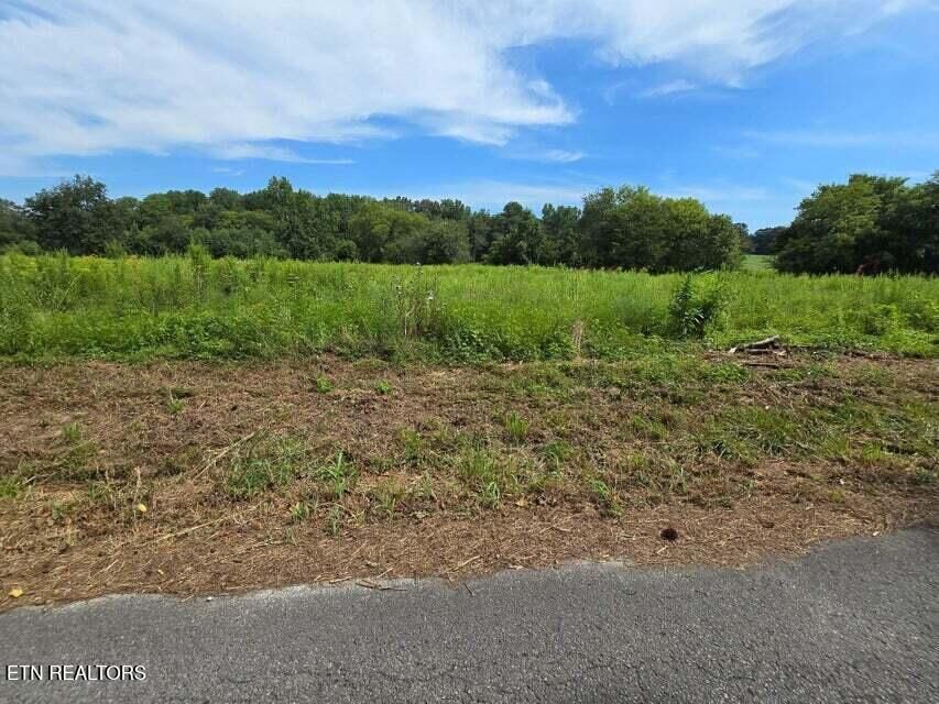 Property Photo:  127 S U Lot 25  TN 37327 