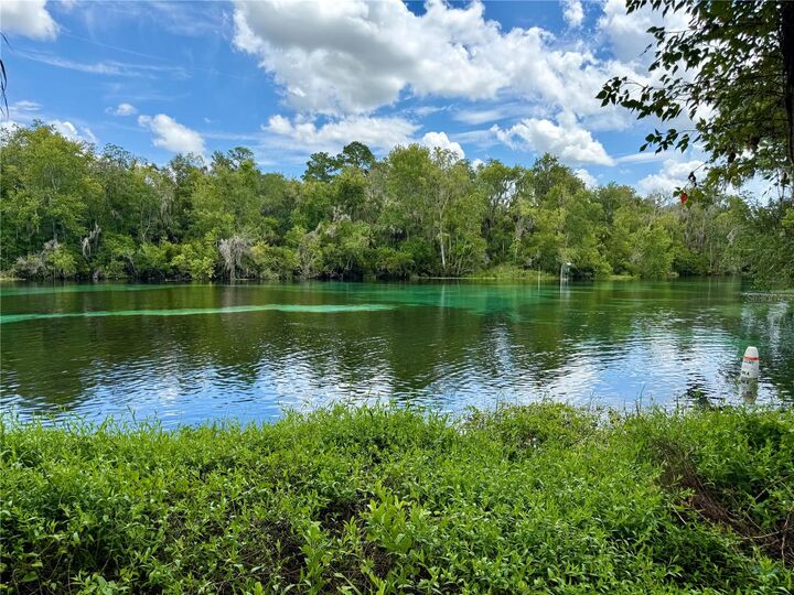 Property Photo:  SW 205th Circle  FL 34431 