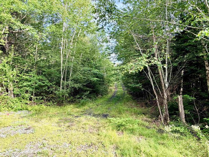 Property Photo:  Lot North Uniacke Lake Road  NS B0N 1Z0 