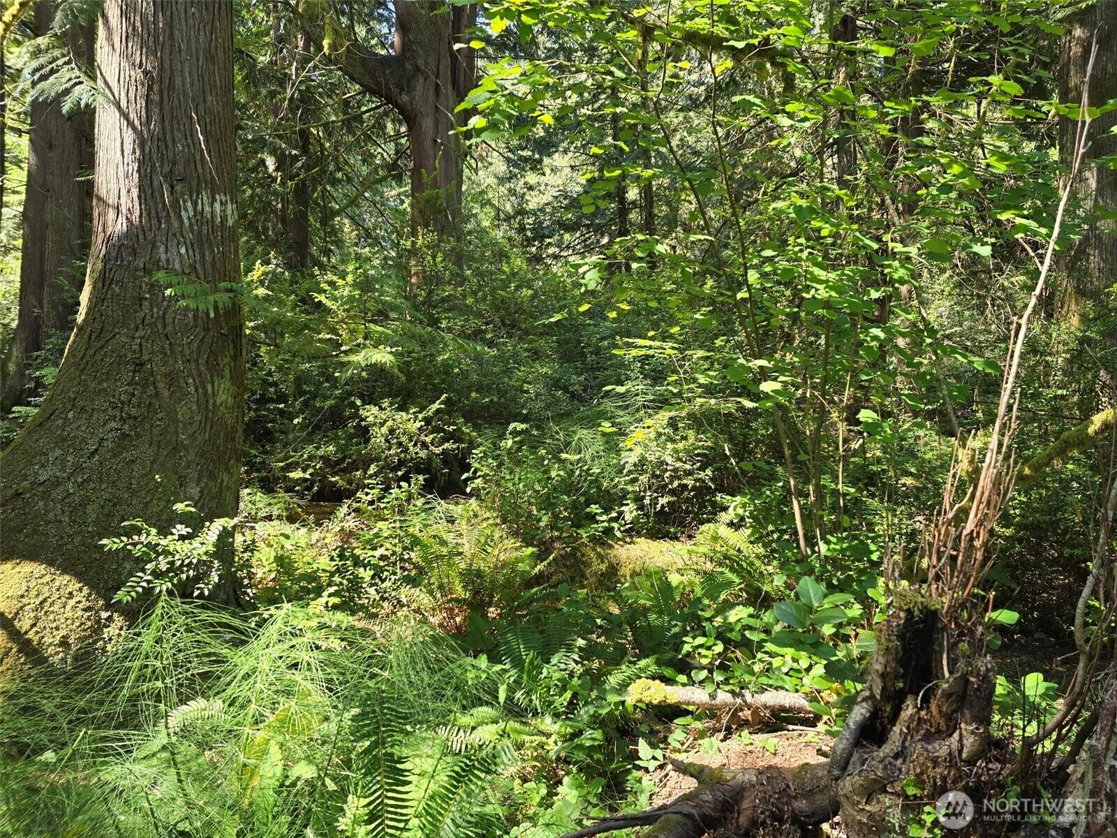 Property Photo:  100 E Liberty Road  WA 98584 
