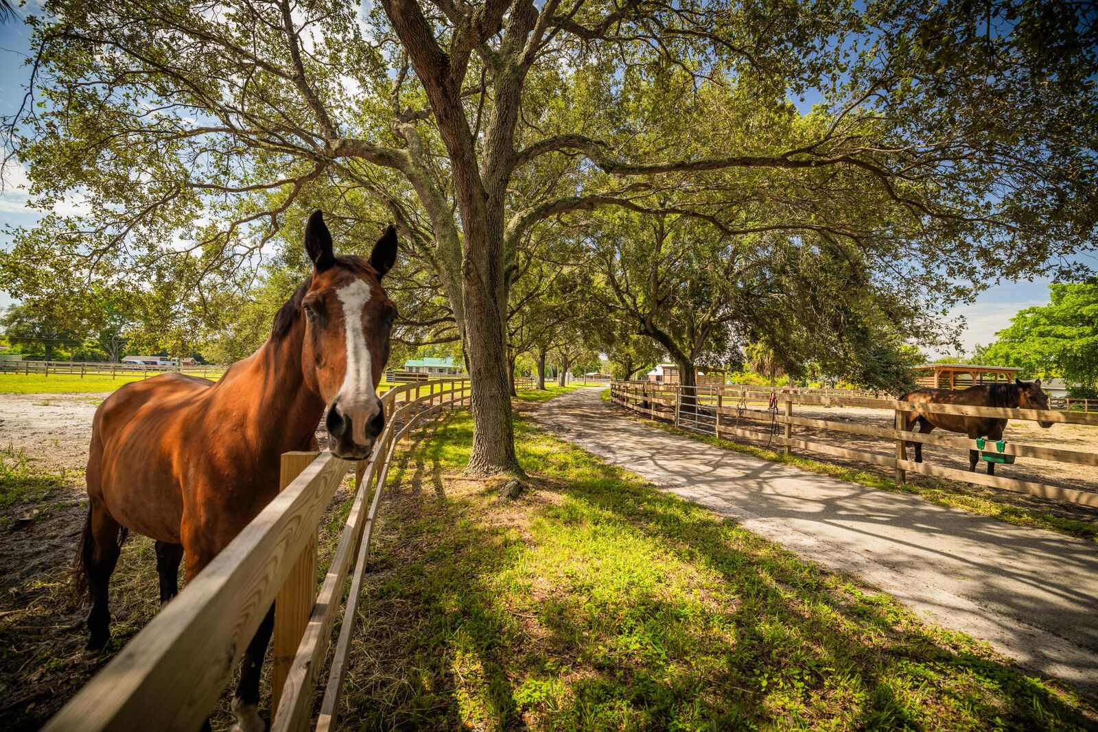 Property Photo: 4300 Vinkemulder Road FL 33073