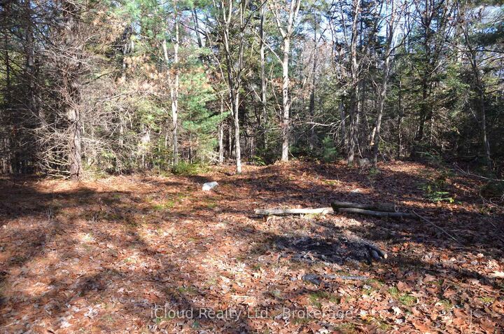Property Photo:  3 Parker Bay Road  ON P0A 1G0 