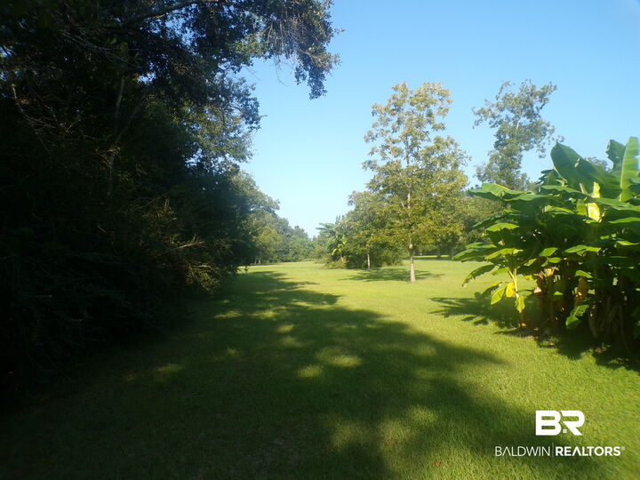 Property Photo:  0 Cater Lee Way  AL  