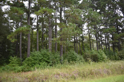 Property Photo:  Tbd Charleston Road  SC 29564 
