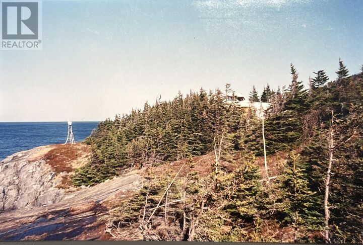 Property Photo:  0 Timber Cove Road  NL A0A 1P0 