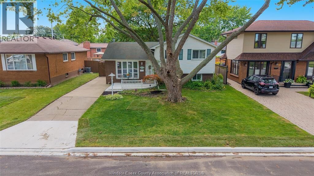 Property Photo:  381 Carling  ON N8S 3X7 