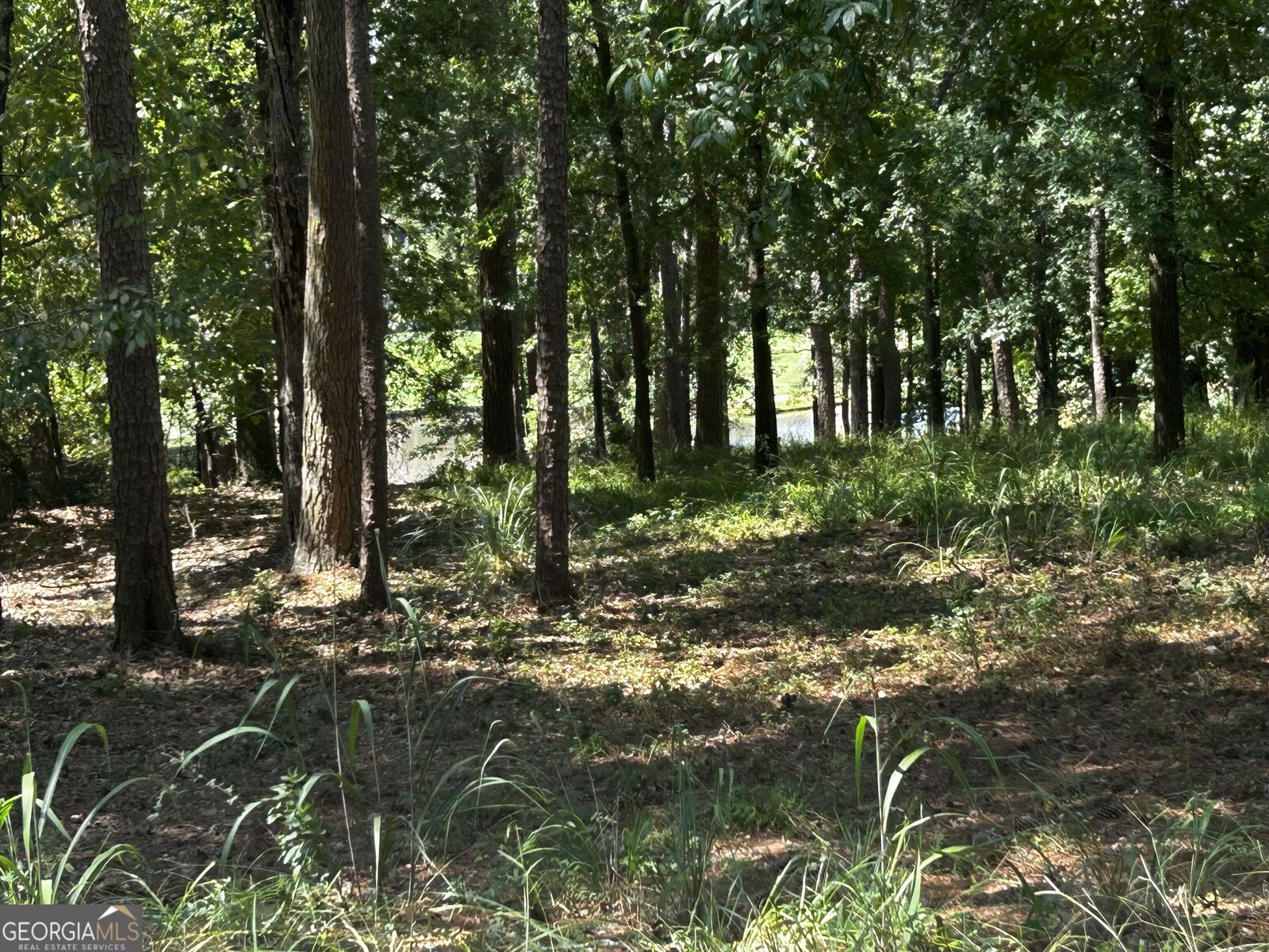 Property Photo:  1191 Lakeview Court  GA 30642 