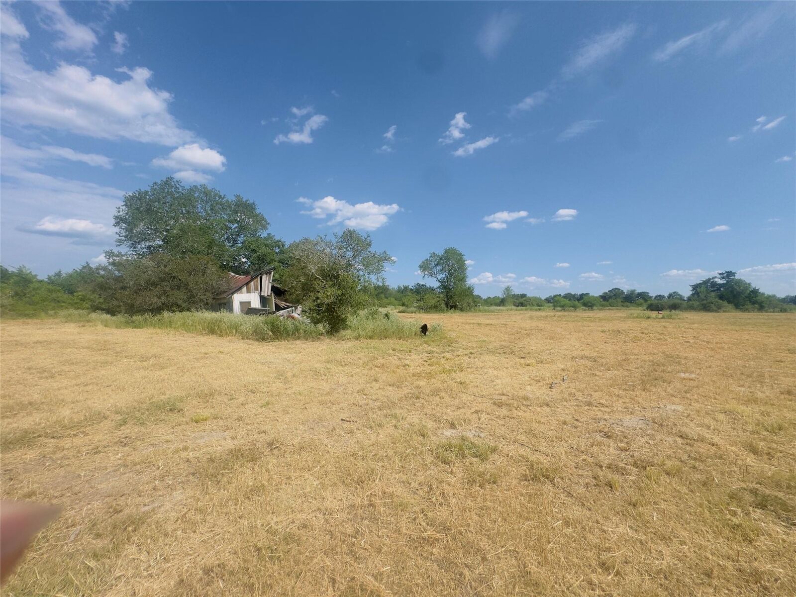 Property Photo: Tbd County Road 201 TX 77964