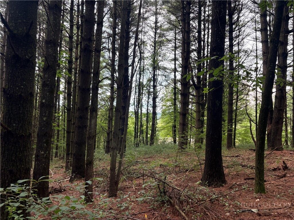 Property Photo: Lots 15-17 Friendly Lane NC 28623