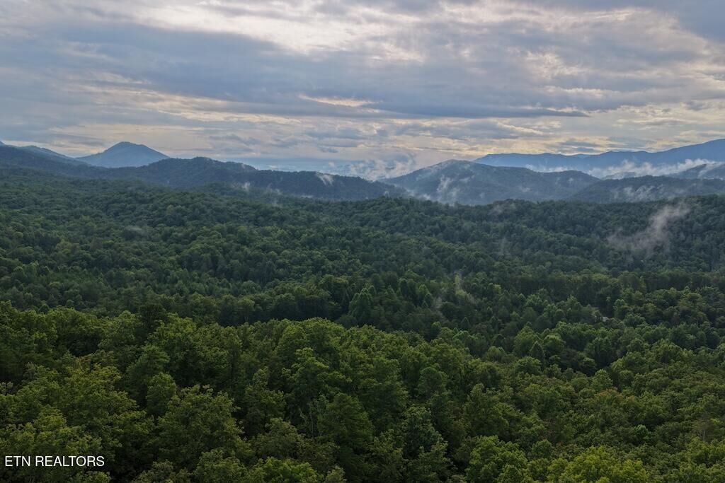 Property Photo:  Lot 27 Shady Oaks Way  TN 37876 