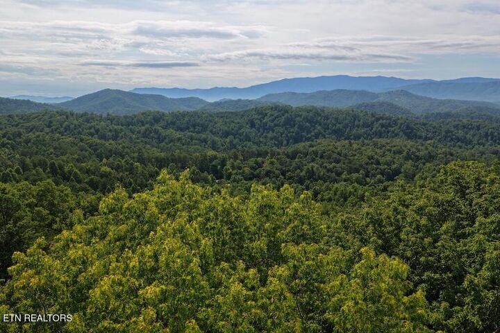 Property Photo:  Lot 41 Shady Oaks Way  TN 37876 