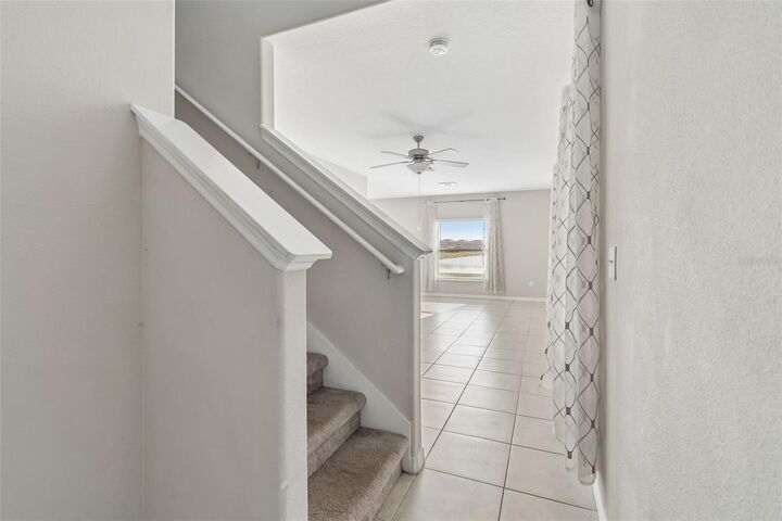 Property Photo: 4410 Summer Savory Street FL 33619