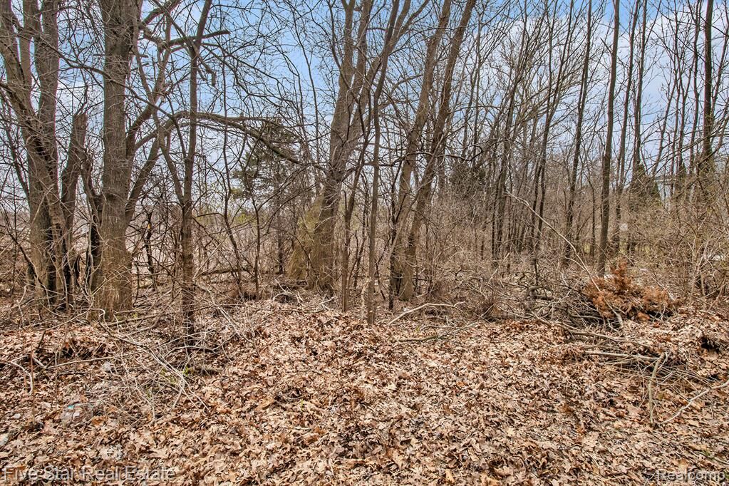 Property Photo: 0000 Dickert Street MI 48382