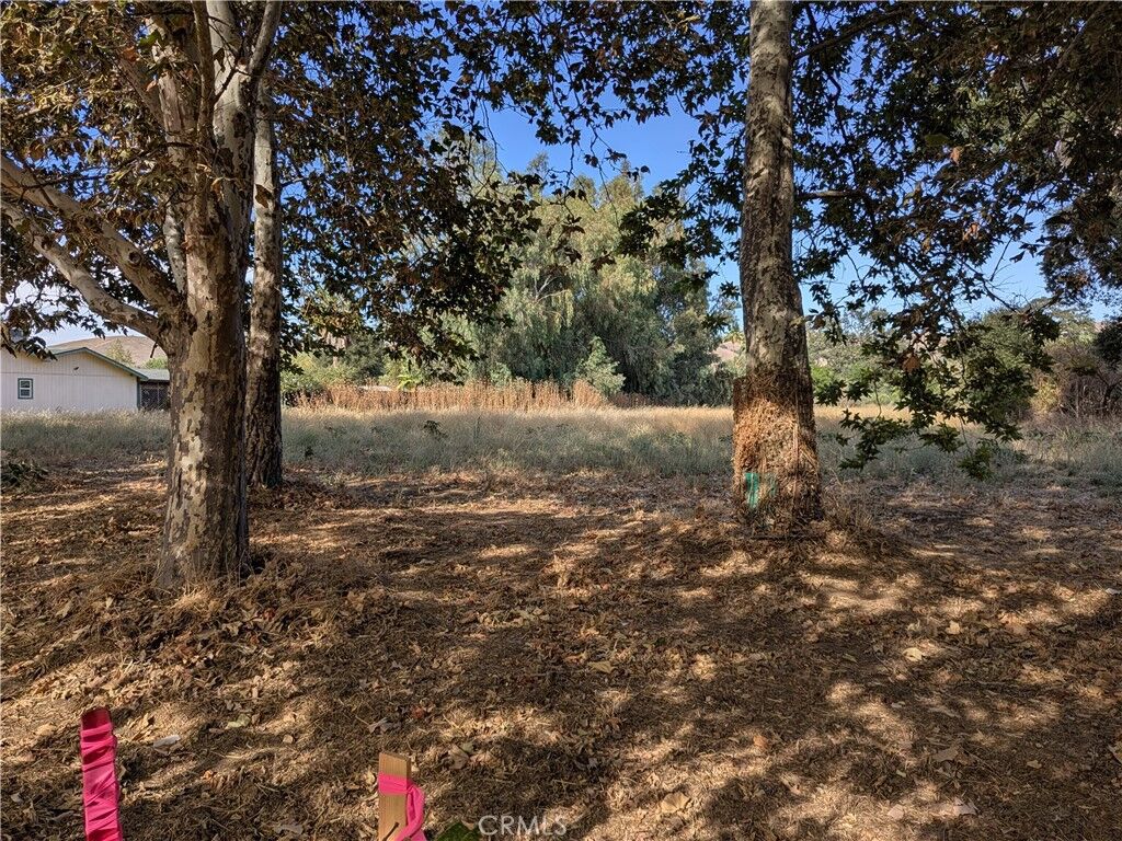 Property Photo:  039 Sycamore Rd  CA 93422 