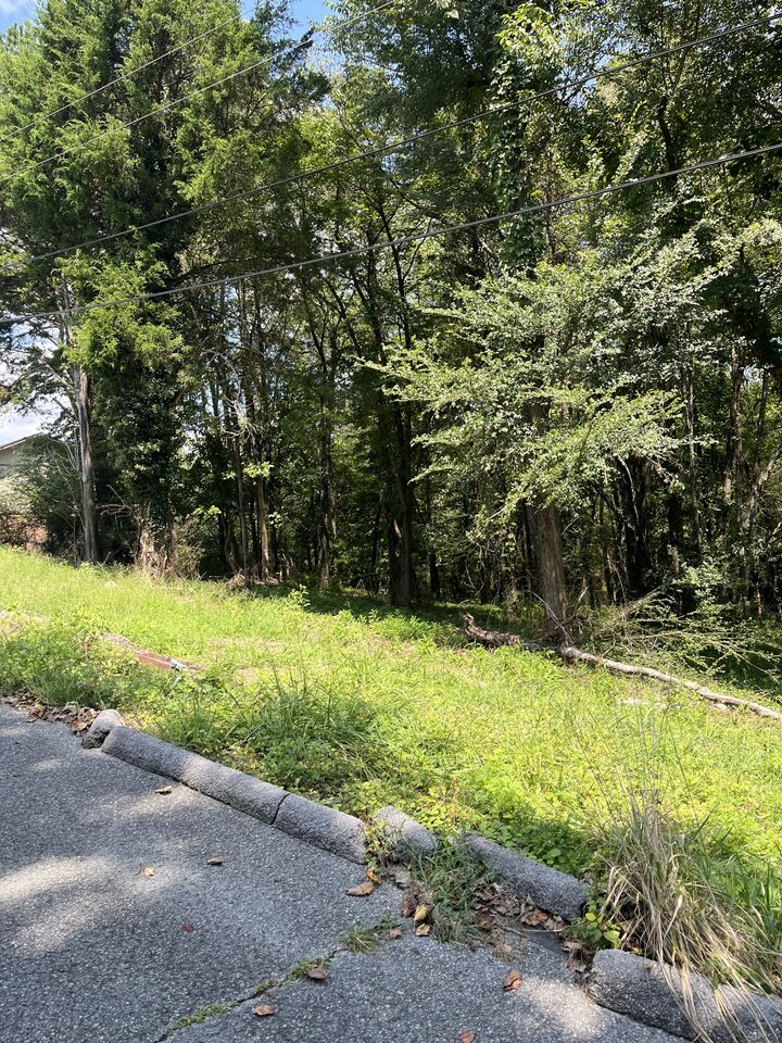 Property Photo: 0 Sierra Drive TN 37321