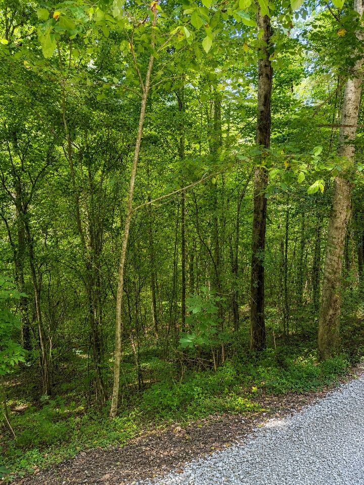 Property Photo:  0 Shoreside Dr  TN 37166 