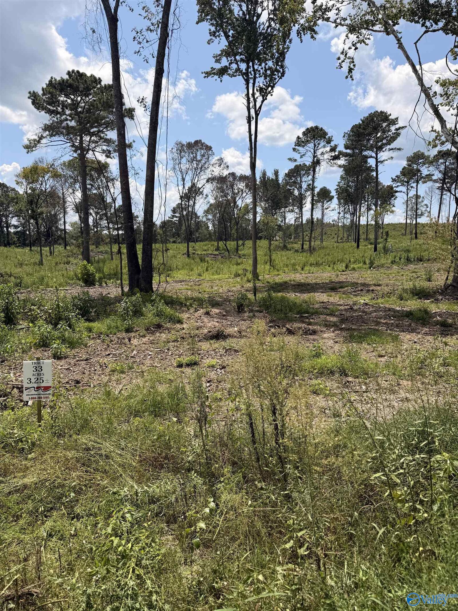 Property Photo: Lot 33 County Road 158 AL 35960