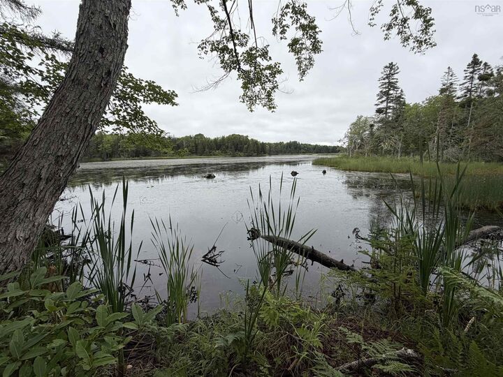 Property Photo:  0 Southside River Denys Rd  NS B0E 2Y0 