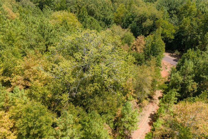 Property Photo: N County Road 1207 TX 75785