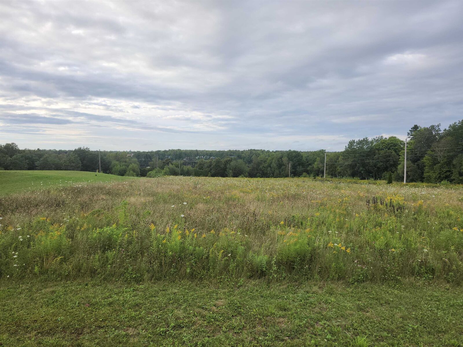 Property Photo:  276 Robin Court  PE C0A 1R0 