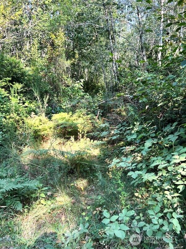 Property Photo:  1209  196th Avenue NW  WA 98349 