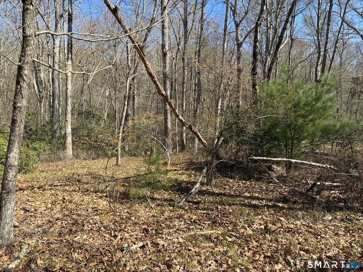Property Photo: Madison Road CT 06422