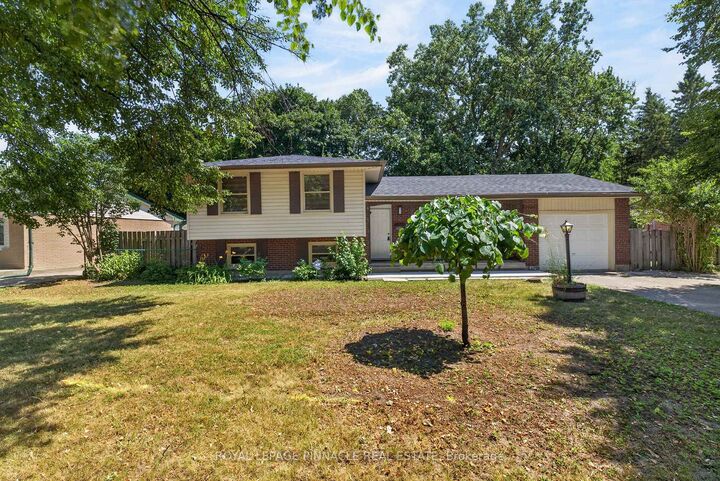 41 Amy Crescent — photo 1