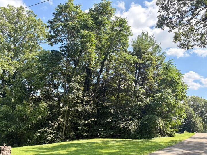Property Photo:  0 Pleasant View Drive  OH 43830 
