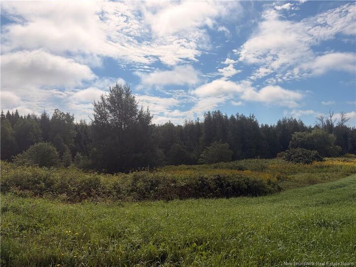 N/A Brookville Road — photo 1