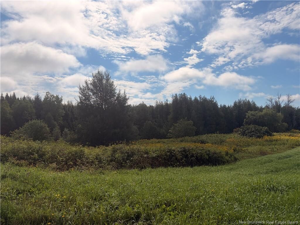 Property Photo:  N/A Brookville Road  NB E7K 1M3 