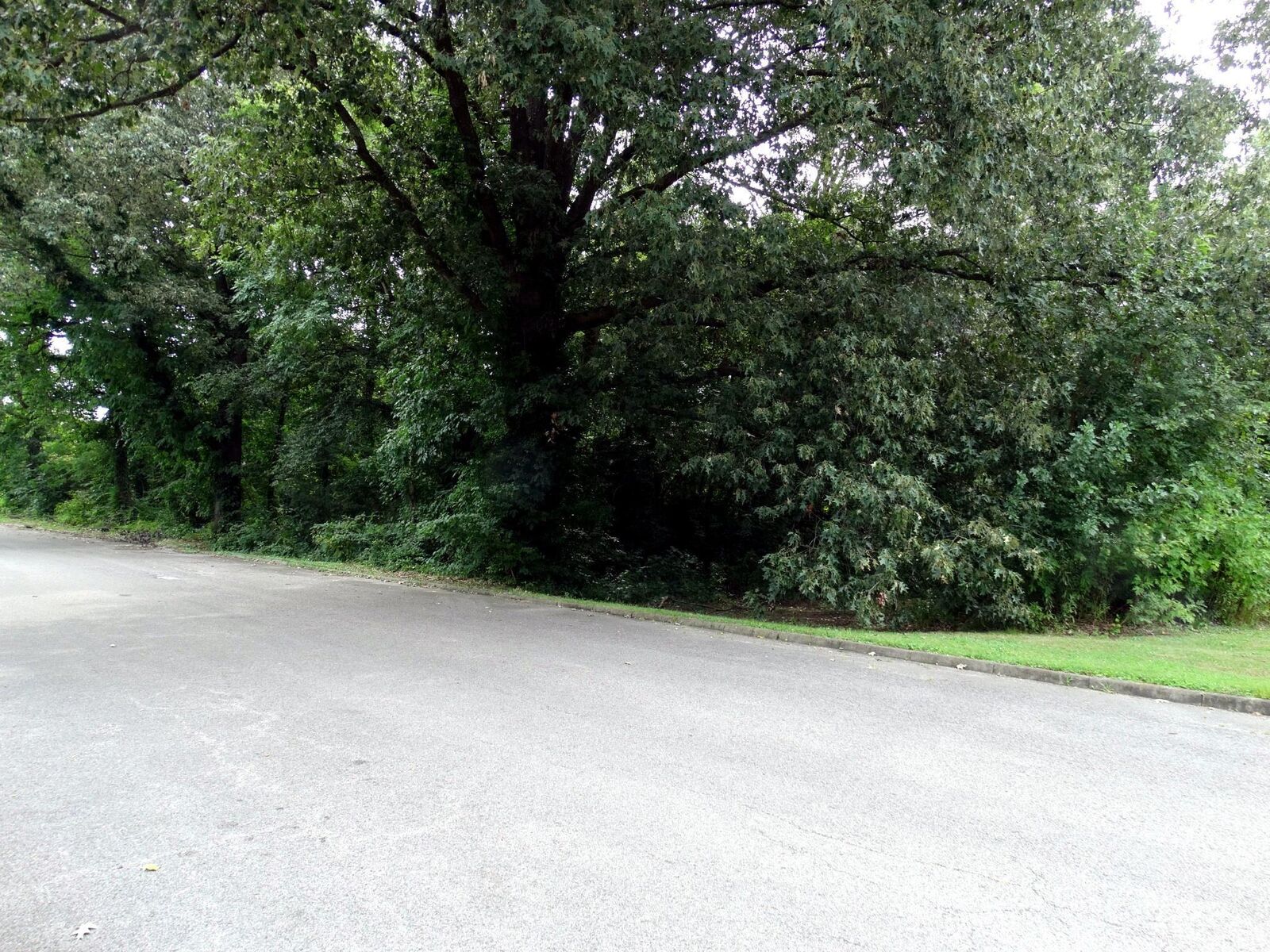 Property Photo:  3901 3907 3913 Frisse Avenue  IN 47714 