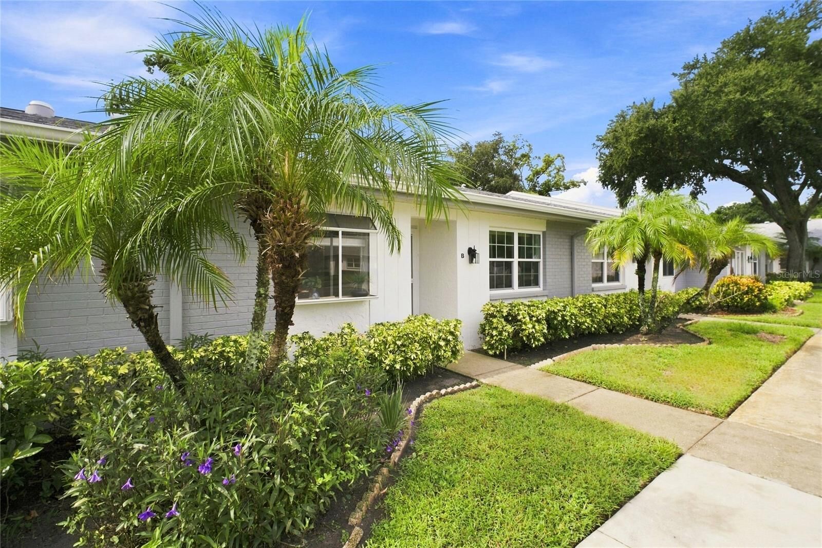 Property Photo: 3370 Stonehaven Court W B FL 34684