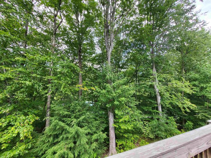 Property Photo:  12 Kernwood Drive  NH 03251 