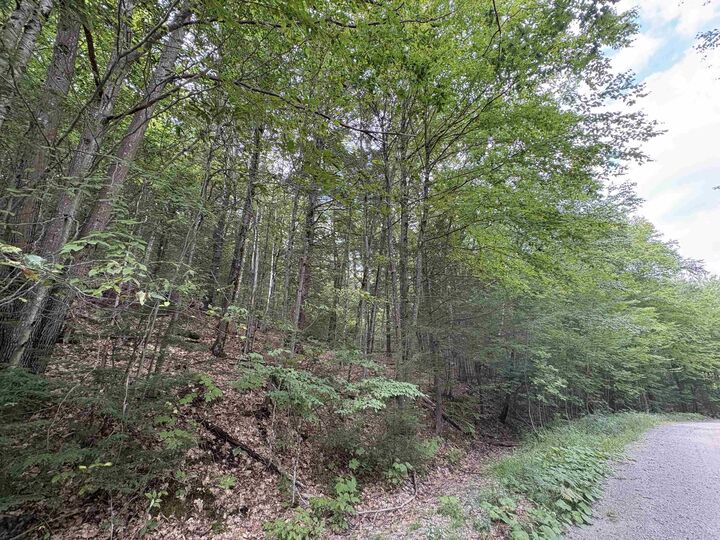 Property Photo: Craig Road NH 03440