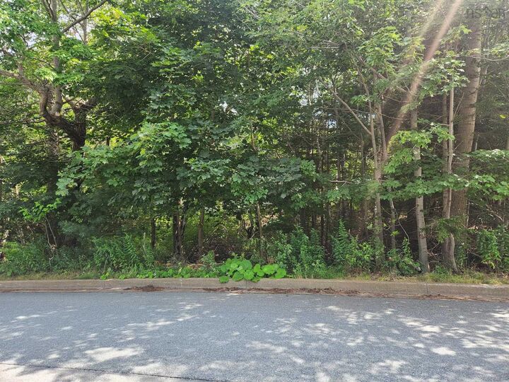 1 Pinehaven Drive — photo 1